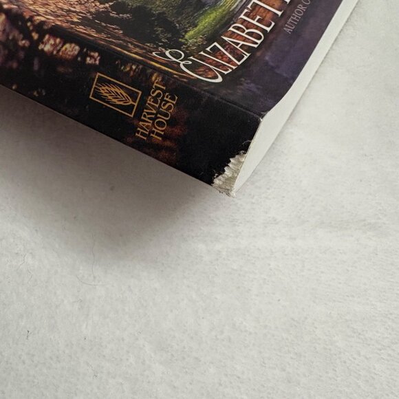 A Womans Walk With God By Elizabeth George Paperback Book - Picture 7 of 9